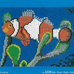 Stecksystem Clown Fisch