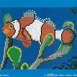 Stecksystem Clown Fisch