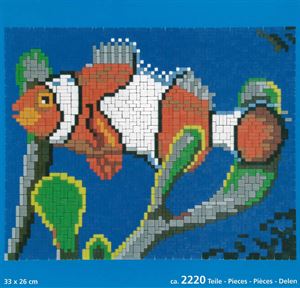 Stecksystem Clown Fisch