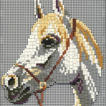 Stecksystem Schimmelkopf