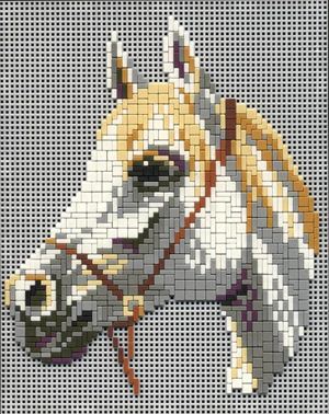 Stecksystem Schimmelkopf