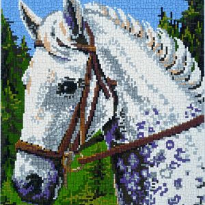 Stecksystem Schimmel mit XXL-Steckvorlage