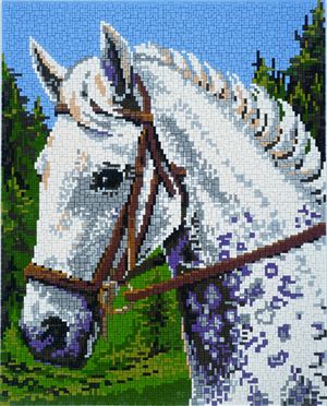 Stecksystem Schimmel mit XXL-Steckvorlage