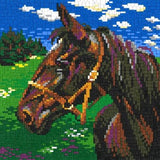 Stickit-Pixel ,,Hengst auf der Weide,,