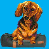 Stickit-Pixel Dackel Waldi