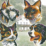 Stecksystem Haustiere XXL