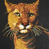 Stecksystem Puma mit XXL-Steckvorlage