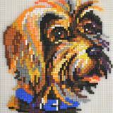 Stecksystem Rauhaar Dackel mit XXL-Steckvorlage