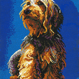 Stecksystem Rauhaardackel mit XXL-Steckvorlage