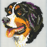 Stecksystem Sennenhund