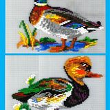 Stickit-Pixel Stock u. Kolbenente 2 in 2