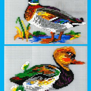 Stickit-Pixel Stock u. Kolbenente 2 in 2