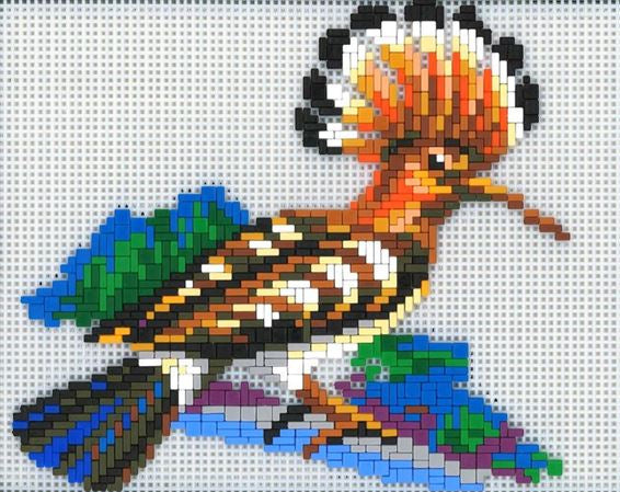 Stickit-Mosaik ,,Wiedehopf,,